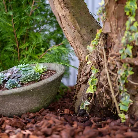 Prázdninový dům Casa Cecilia Meireles